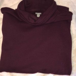 Aerie turtle neck sweater